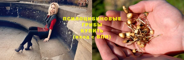 Альфа ПВП Баксан